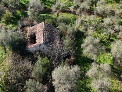 Acheter Terrain 14000 m2 Sassari