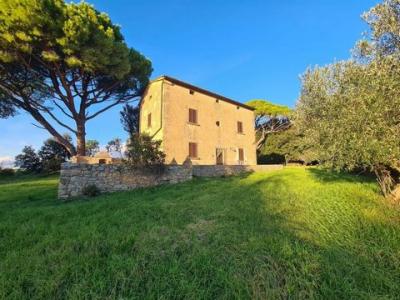 Annonce Vente Maison Casale-marittimo