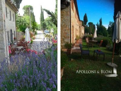 Acheter Maison Castellina-in-chianti rgion SIENA