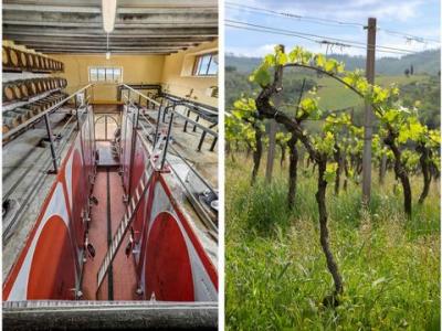 Vente Terrain GAIOLE-IN-CHIANTI  SI en Italie