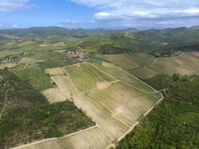 Acheter Terrain 32767 m2 Gaiole-in-chianti