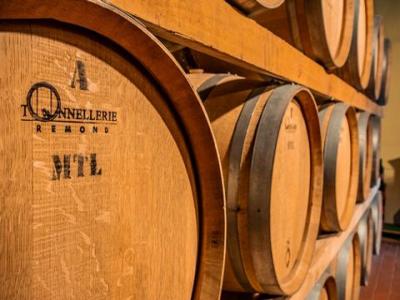 Acheter Terrain Gaiole-in-chianti rgion SIENA