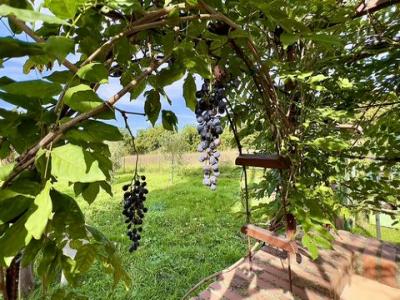 Acheter Maison 114 m2 Citta-della-pieve