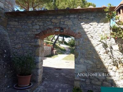 Acheter Maison 660 m2 Castellina-in-chianti