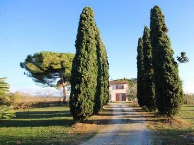 Acheter Maison 314 m2 Campiglia-marittima