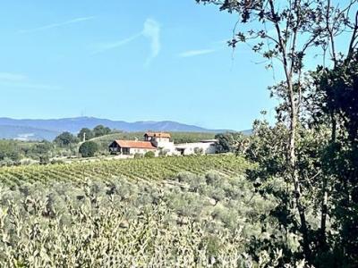 Annonce Vente Maison Montecchio