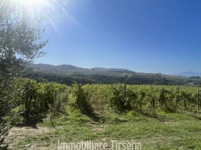 Acheter Maison 32767 m2 Montecchio