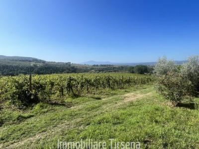 Acheter Maison Montecchio r�gion TERNI