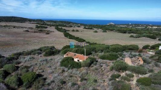 Vente Terrain AGLIENTU  OT en Italie