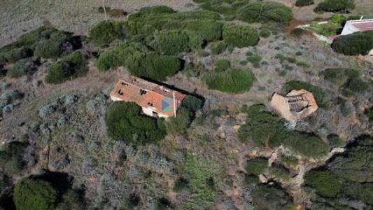 Acheter Terrain 308 m2 Aglientu