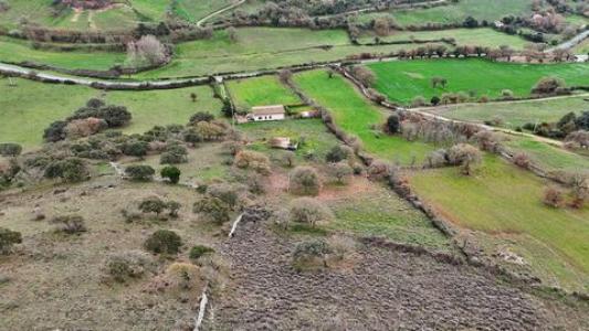 Annonce Vente Maison Pattada