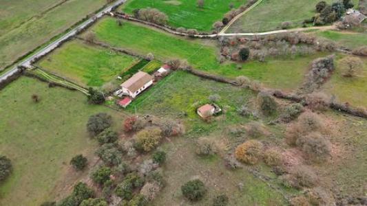 Acheter Maison 260 m2 Pattada