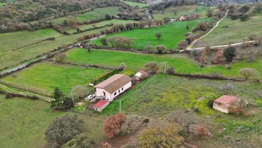 Acheter Maison Pattada r�gion SASSARI