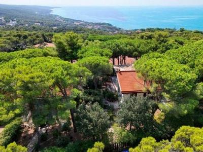 Annonce Vente Maison Livorno