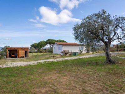 Annonce Vente Maison Castagneto-carducci