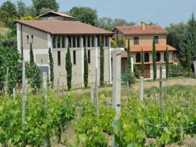 Vente Terrain MONTEPULCIANO  SI en Italie