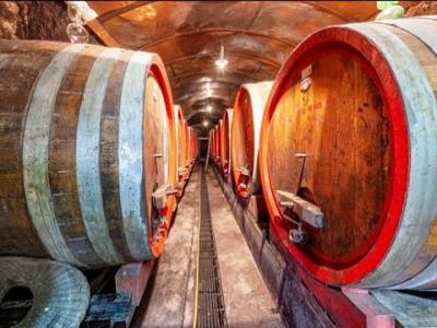 Acheter Terrain 32767 m2 Montepulciano