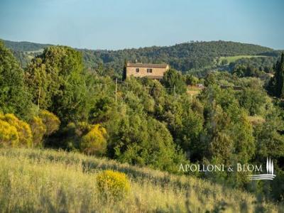 Acheter Maison Asciano r�gion SIENA