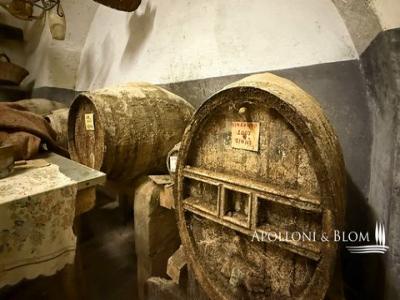 Acheter Maison 607 m2 Bucine