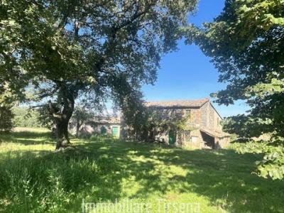 Annonce Vente 8 pi�ces Maison Orvieto