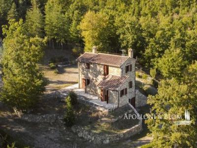 Acheter Maison Cetona r�gion SIENA