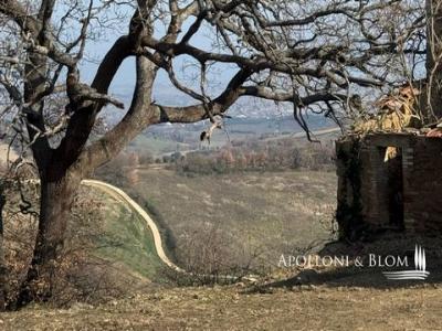 Vente Maison TORRITA-DI-SIENA  SI en Italie