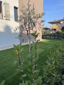 Acheter Appartement Desenzano-del-garda r�gion BRESCIA