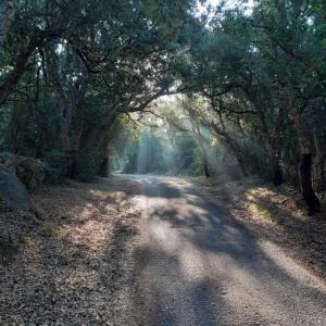 Vente Appartement CALANGIANUS  OT en Italie