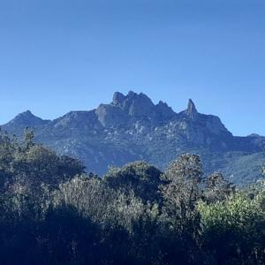 Annonce Vente Appartement Calangianus