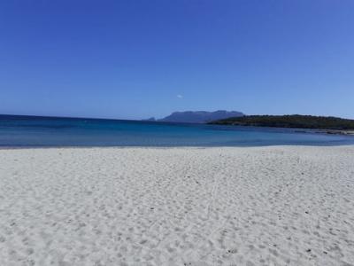 Acheter Appartement Calangianus r�gion OLBIA-TEMPIO