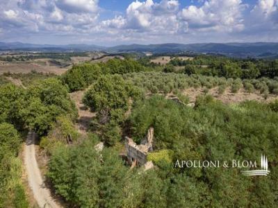 Acheter Maison Asciano