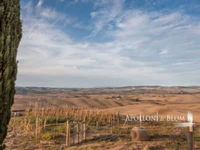 Annonce Vente Terrain Gavorrano