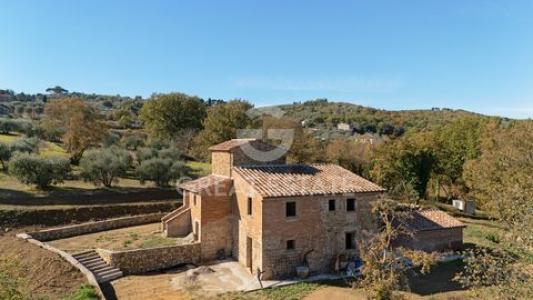 Acheter Maison 470 m2 Desenzano-del-garda