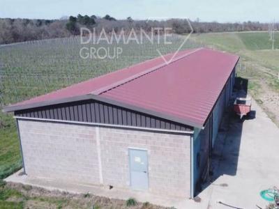 Acheter Immeuble 32767 m2 Castiglione-del-lago