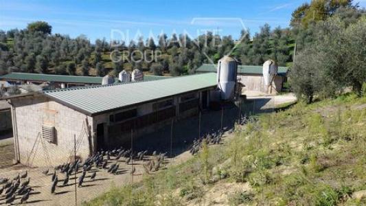 Acheter Maison Arezzo r�gion AREZZO