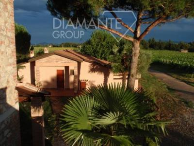 Acheter Maison 480 m2 Castiglione-del-lago