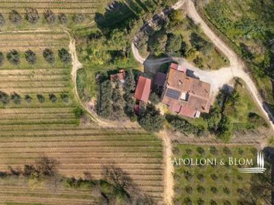 Annonce Vente Maison Montepulciano