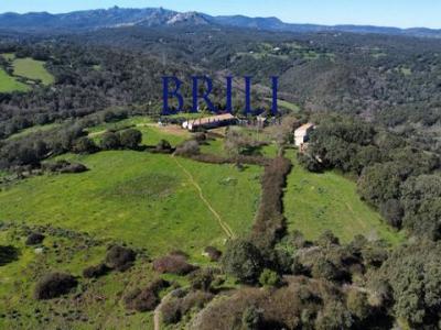 Acheter Terrain Tempio-pausania