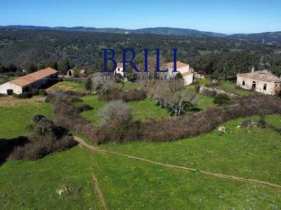 Acheter Terrain Tempio-pausania r�gion OLBIA-TEMPIO