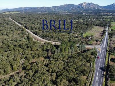 Annonce Vente Terrain Tempio-pausania