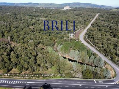 Acheter Terrain 32767 m2 Tempio-pausania