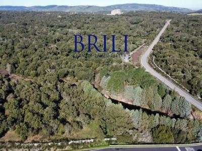 Acheter Terrain Tempio-pausania r�gion OLBIA-TEMPIO