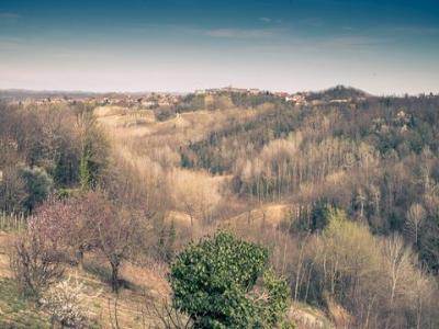 Acheter Maison Mongardino r�gion ASTI