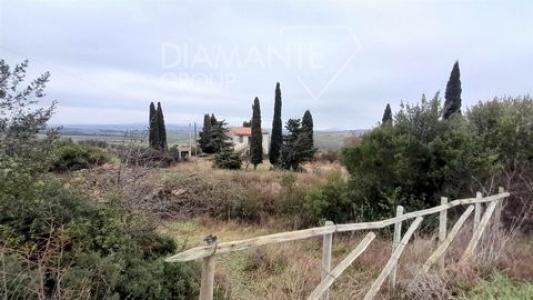 Acheter Maison 410 m2 Scansano