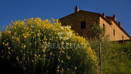 Acheter Maison Trequanda r�gion SIENA