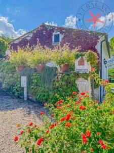 Acheter Maison 110 m2 Marciana-marina