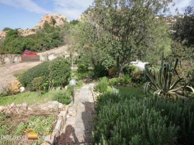 Acheter Immeuble Lu-colbu r�gion OLBIA-TEMPIO