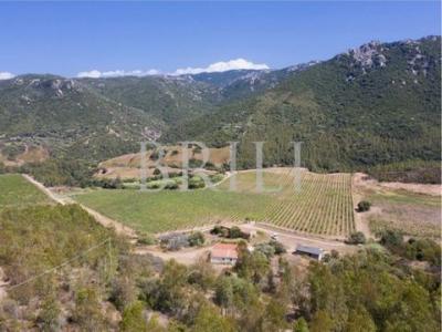 Annonce Vente Maison Lu-colbu