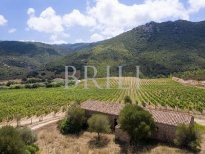 Acheter Maison Lu-colbu r�gion OLBIA-TEMPIO