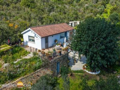 Annonce Vente 7 pi�ces Maison Berchiddeddu